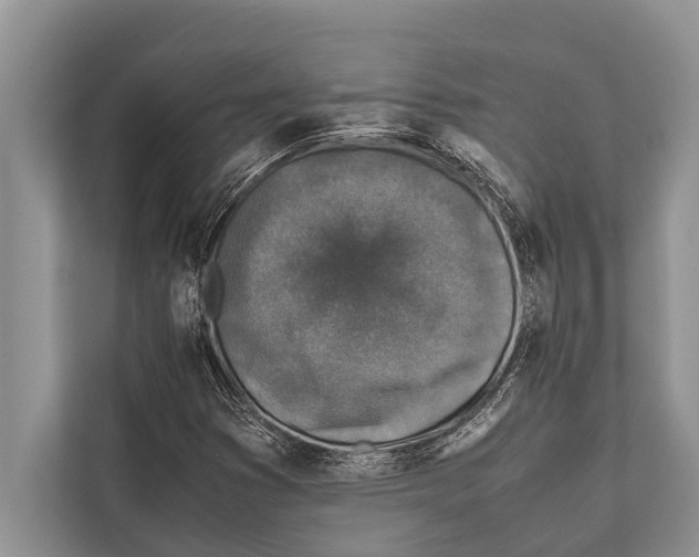 X0000112171353200909181404