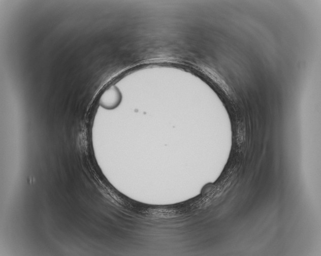 X0000112171356200909181404