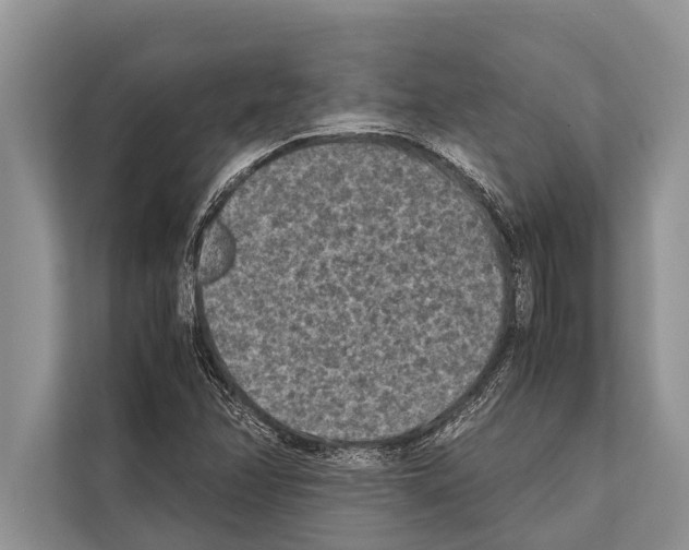 X0000112171358200909181404