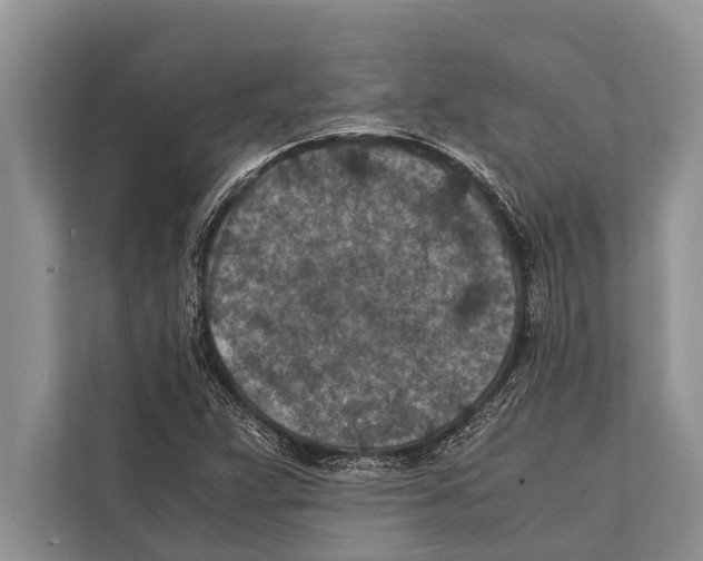 X0000112171359200909181404