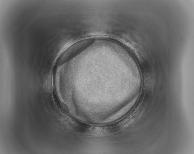 X0000112171365200909181404