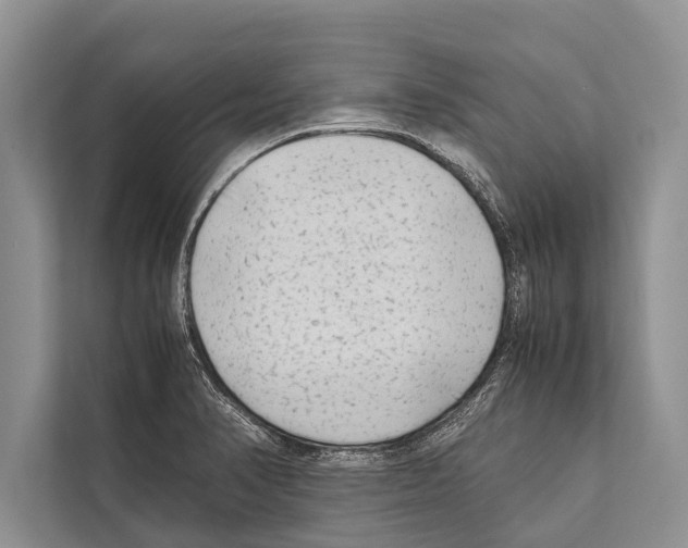 X0000112171374200909181404