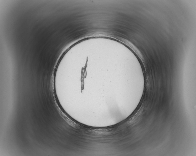 X0000112171388200909181404