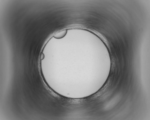 X0000112171390200909181404