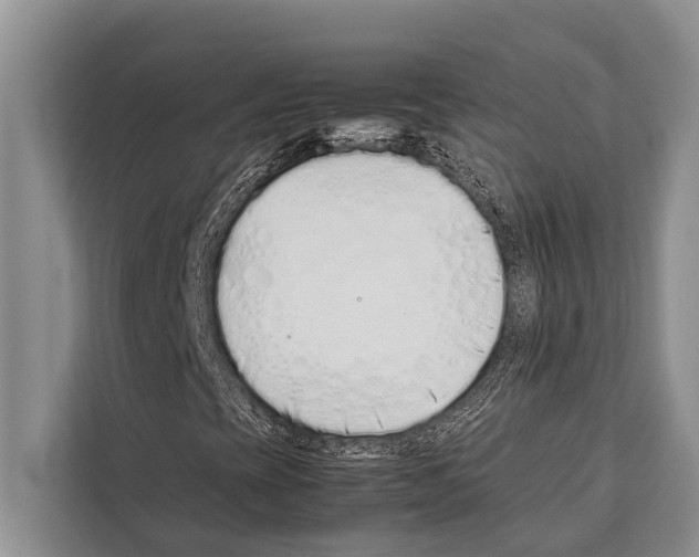 X0000112171393200909181403