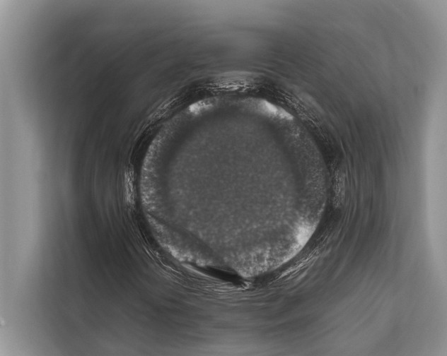 X0000112171394200909181403