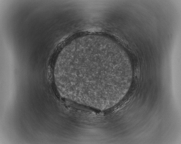 X0000112171398200909181403