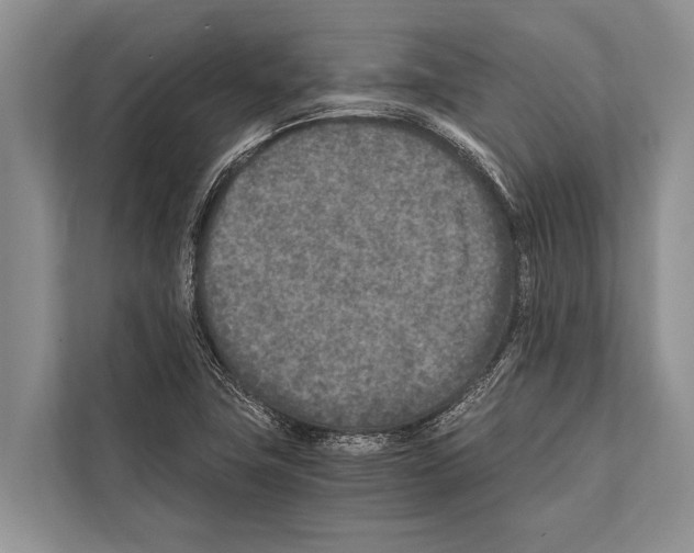 X0000112171411200909181404