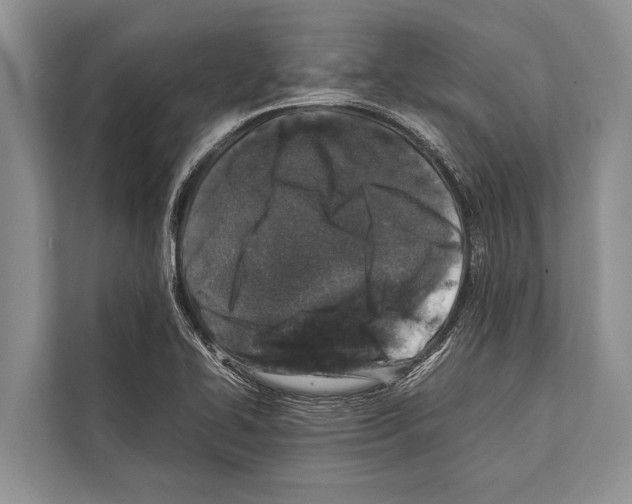 X0000112171414200909181404