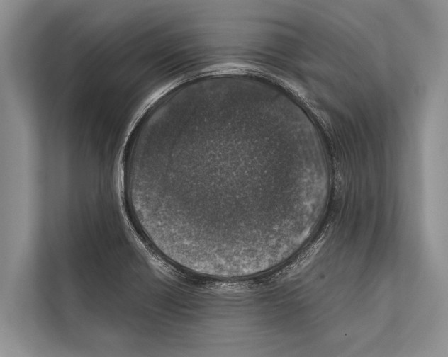 X0000112171418200909181404