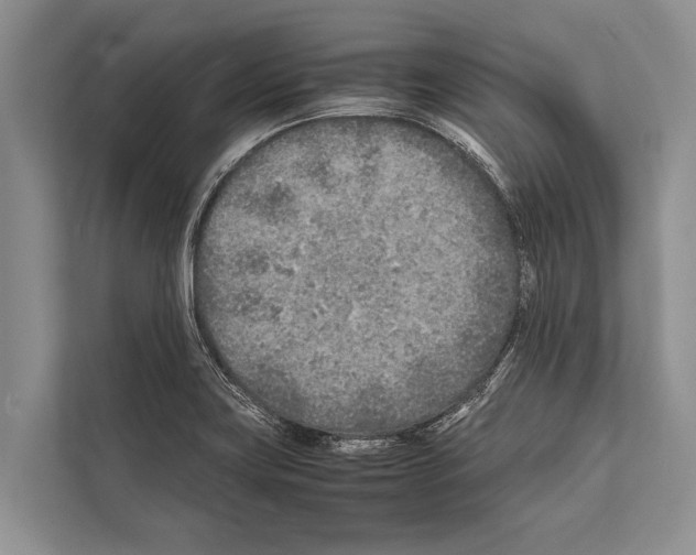 X0000112171419200909181404