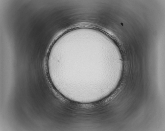 X0000112171421200909181404