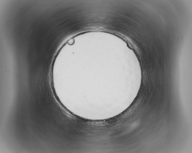 X0000112171432200909181404