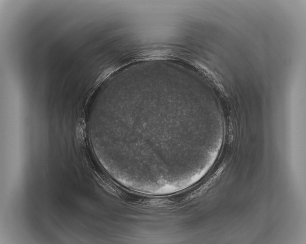 X0000112171449200909181403