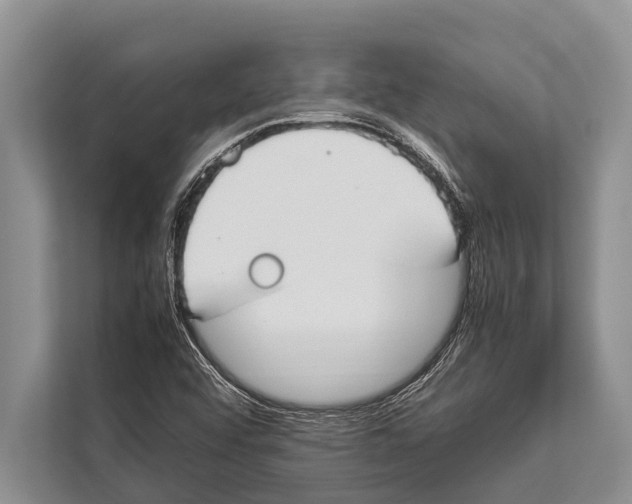 X0000112171456200909181403