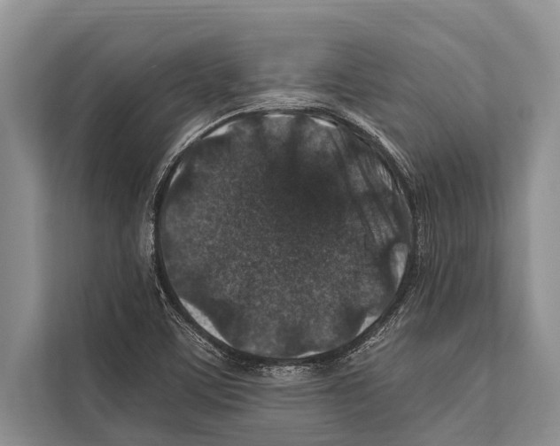 X0000112171459200909181403