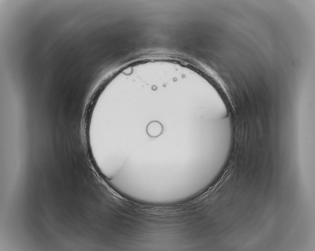 X0000112171464200909181403