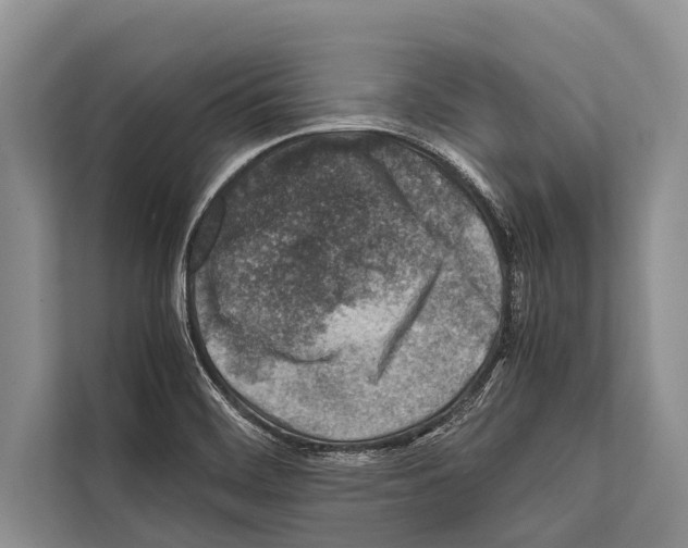 X0000112171468200909181403