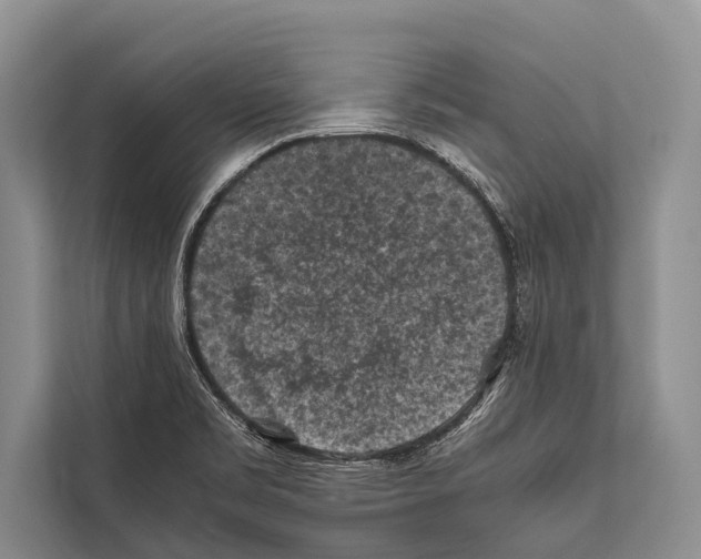 X0000112171469200909181403