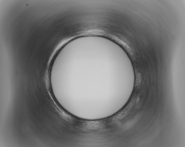 X0000112171470200909181403