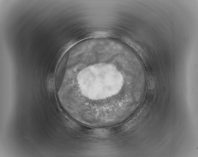 X0000112171473200909181403