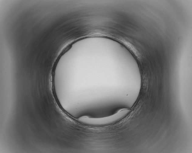 X0000112171476200909181403