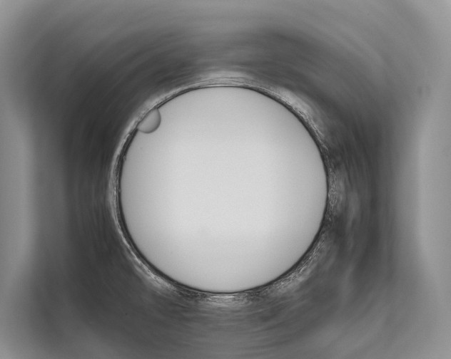 X0000112171478200909181403