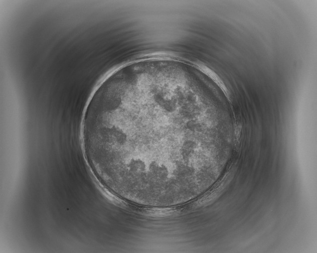 X0000112171482200909181403