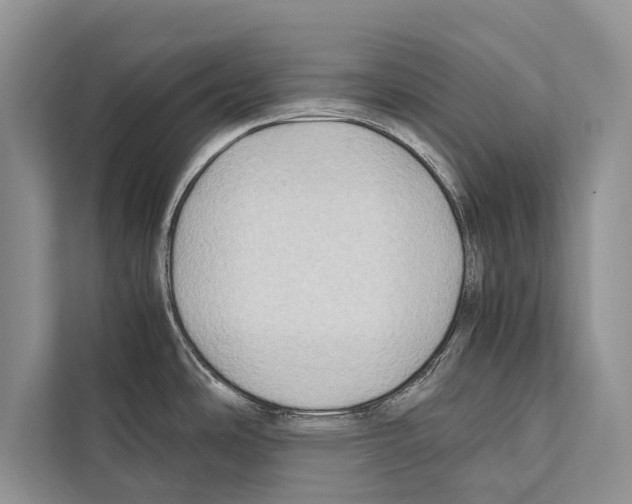 X0000112171486200909181403