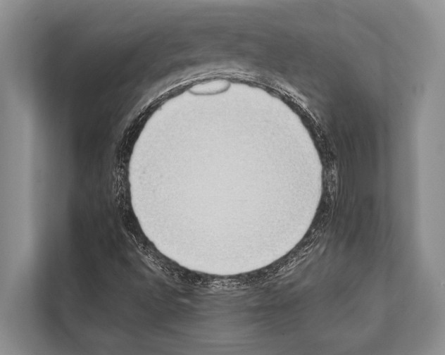 X0000112171496200909181402