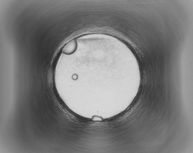 X0000112171506200909181402