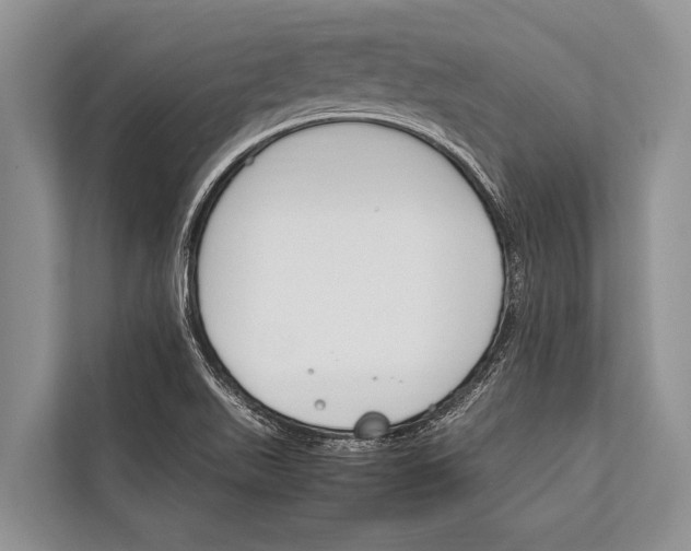 X0000112171511200909181402