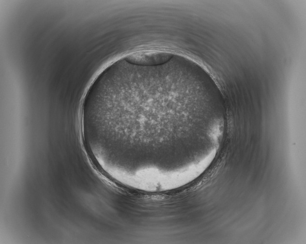 X0000112171515200909181402