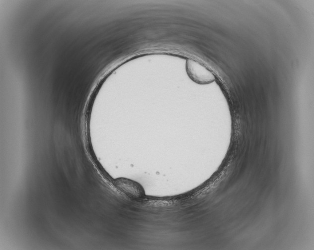 X0000112171517200909181402