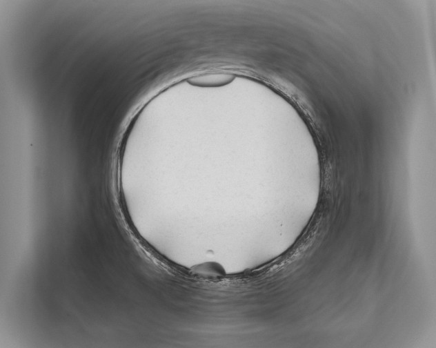 X0000112171520200909181402