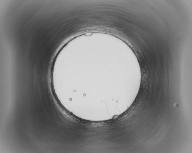 X0000112171523200909181402