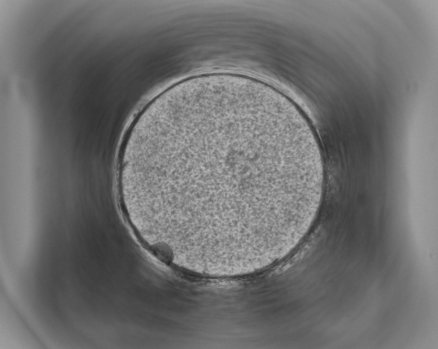 X0000112171525200909181402