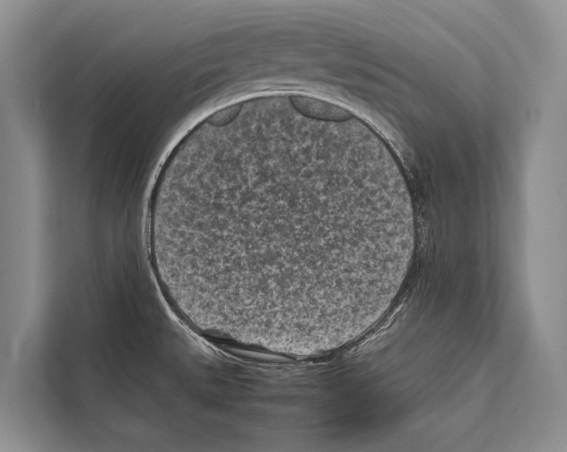 X0000112171527200909181402