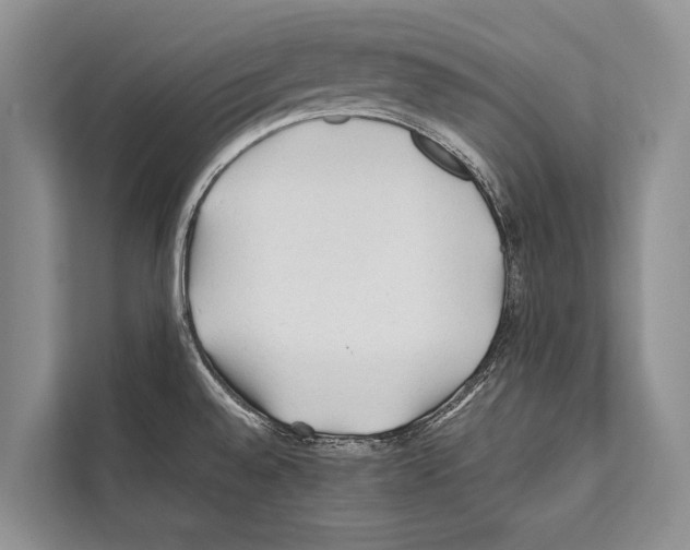 X0000112171528200909181402