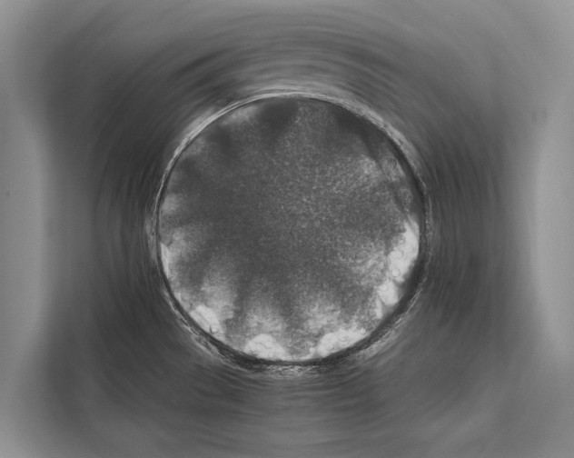 X0000112171529200909181402