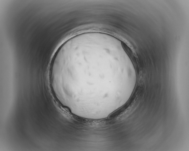 X0000112171530200909181402