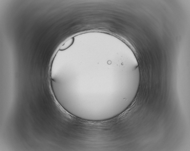 X0000112171532200909181402