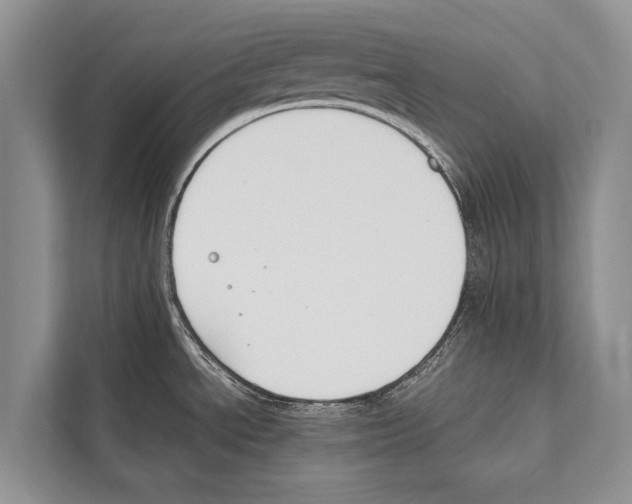 X0000112171534200909181403