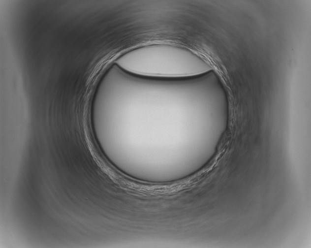 X0000112180001200908070949