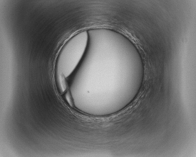 X0000112180002200908070949