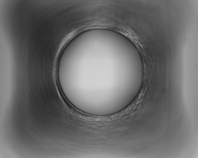 X0000112180003200908070949