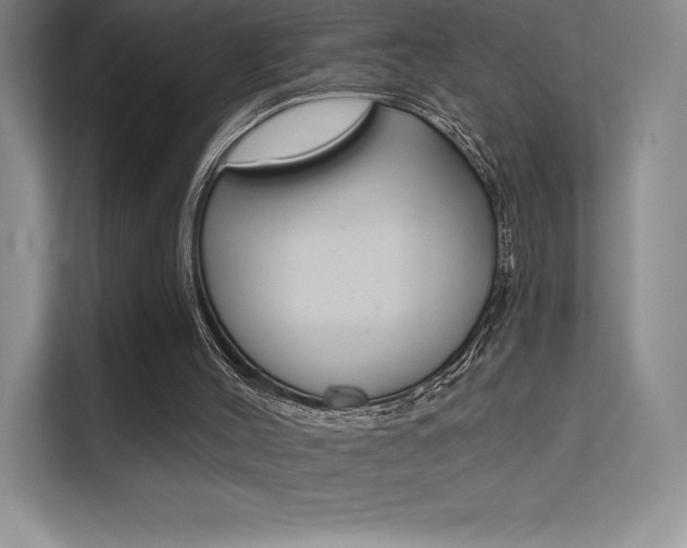 X0000112180004200908070949