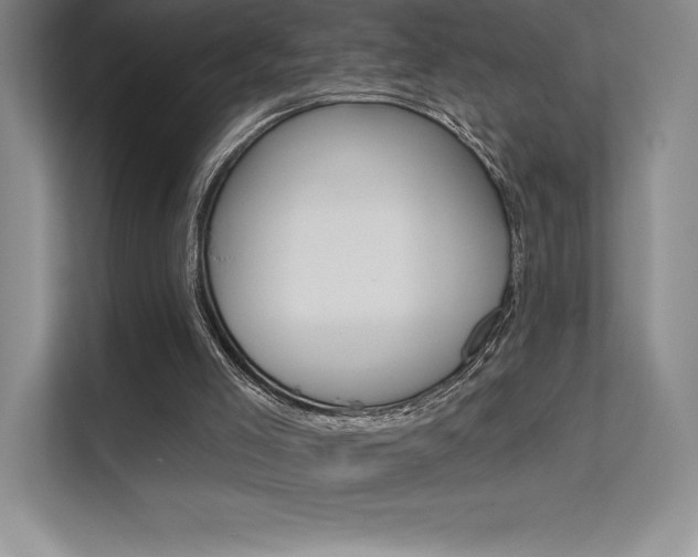 X0000112180005200908070949