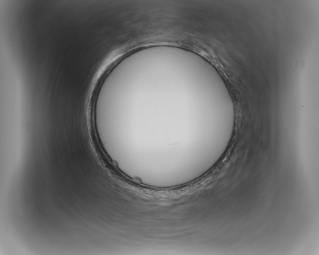 X0000112180006200908070949