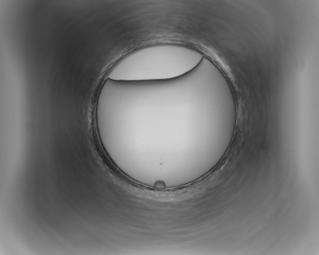 X0000112180010200908070949